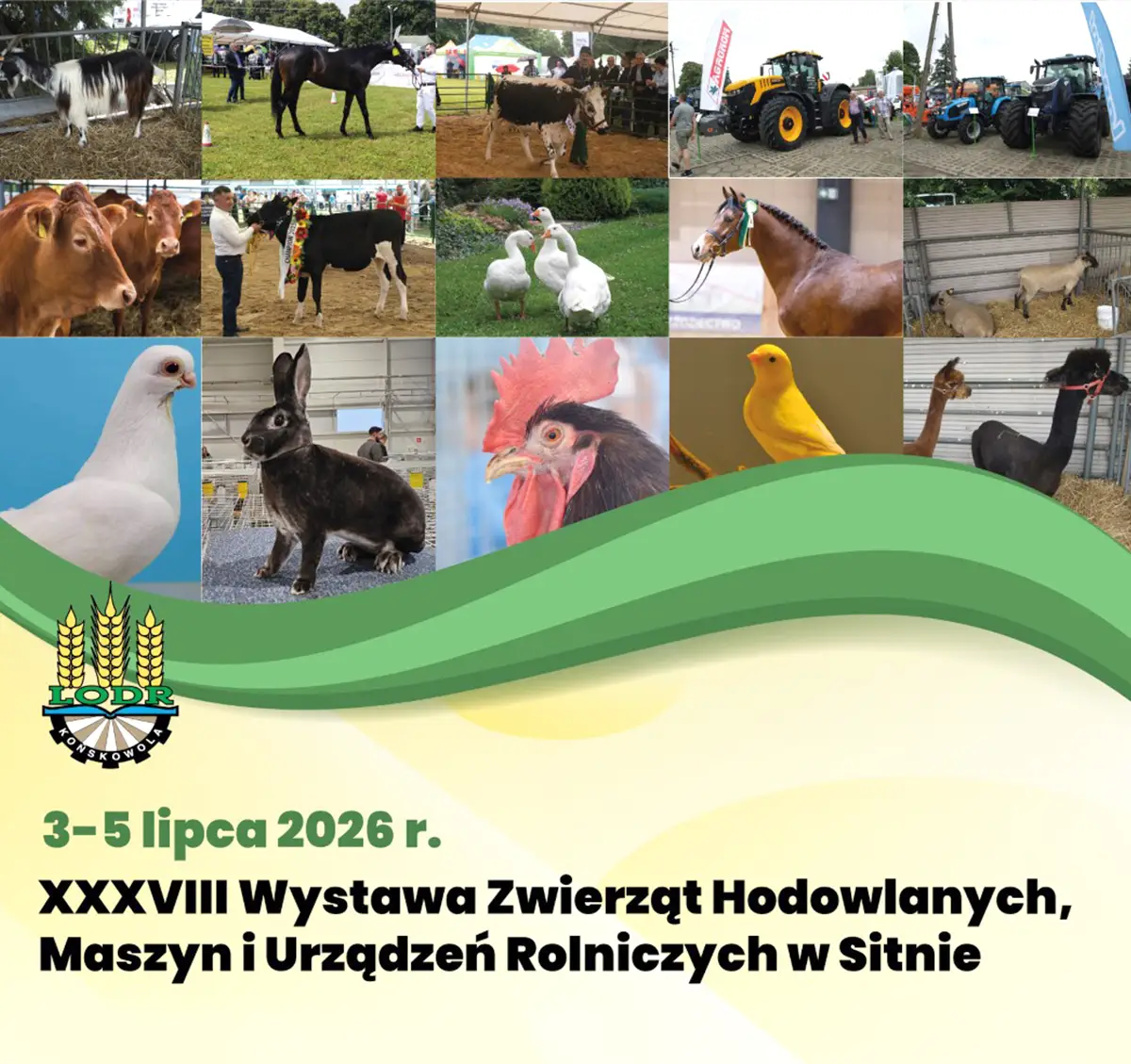 sitno_2026